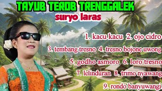Tayub suryo laras mp3 terbaru