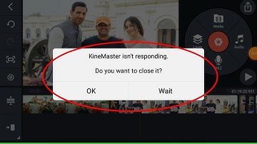 Fix KineMaster isn
