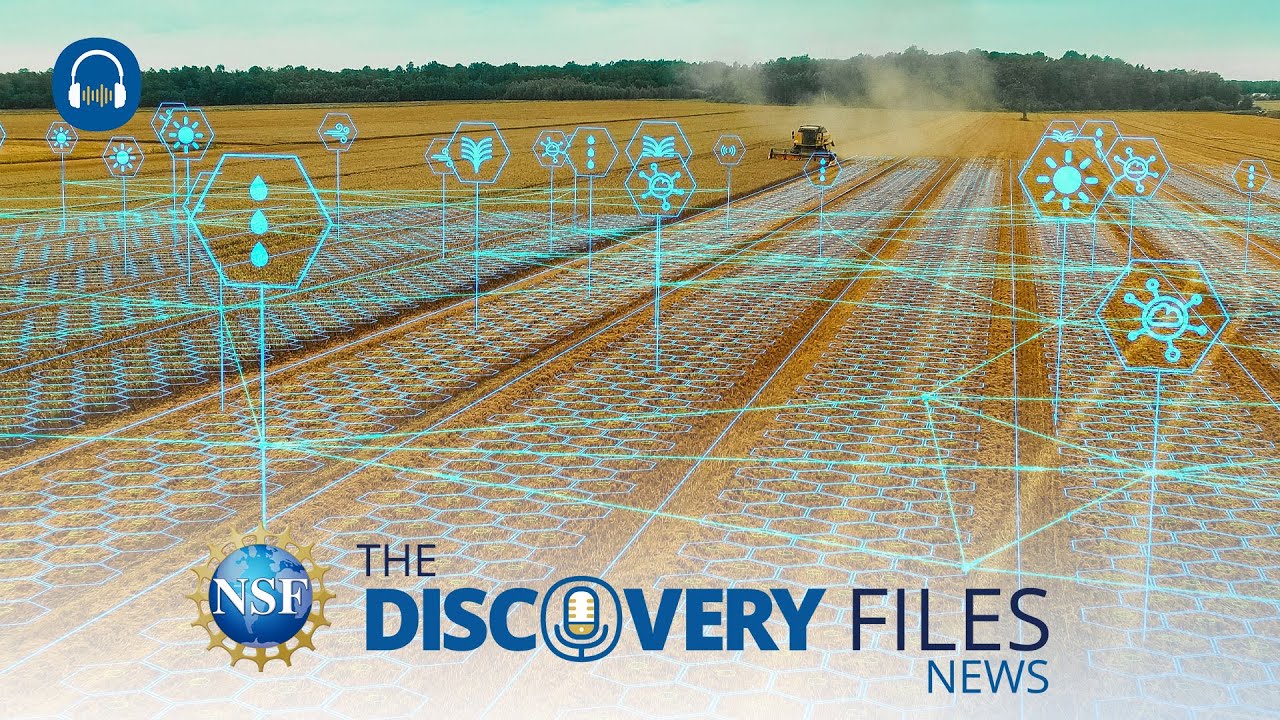 AI enhancing Agriculture #news #science #agriculture #agriculturetechnology