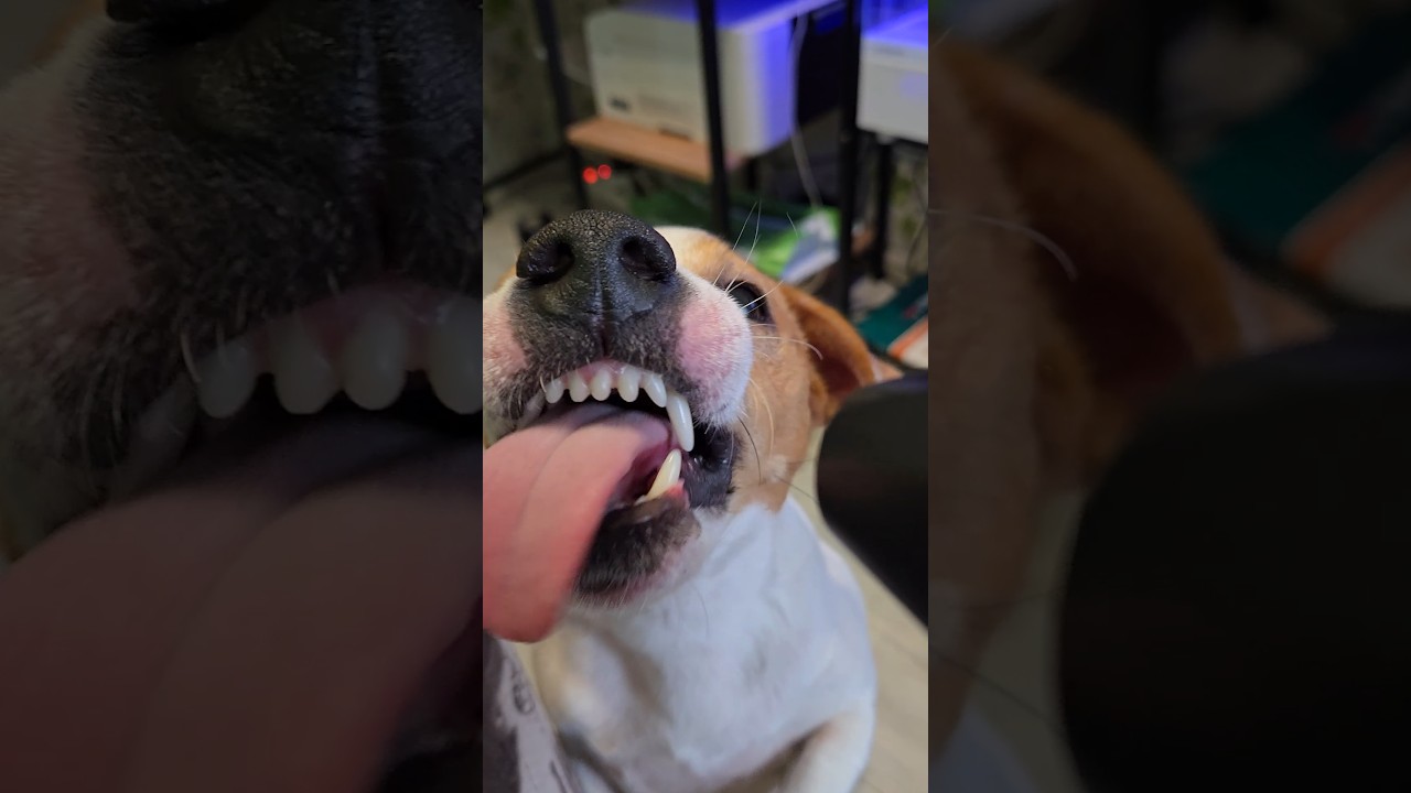 КАК ЧИСТИТЬ СВОЙ ПК 