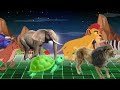 WILD ANIMALS GO CRAZY IN 3D RACING CHAOS 1 Part 327