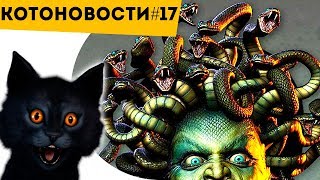 Медуза Горгона Откуда У Нее Змеи? | Ученые Расшифровали Язык Пчел! | Котоновости 17 Медуза Горгона Откуда У Нее Змеи? | Ученые Расшифровали Язык Пчел! | Котоновости 17