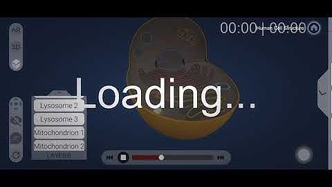 Irusu Block complete app review | How to use Irusu Block app