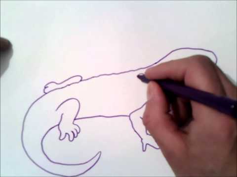 Vídeo: Como Desenhar Um Lagarto Com Um Lápis