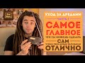 Pro Dread. Выпуск 12. Дреды. Уход Ч.2. САМОЕ ГЛАВНОЕ!