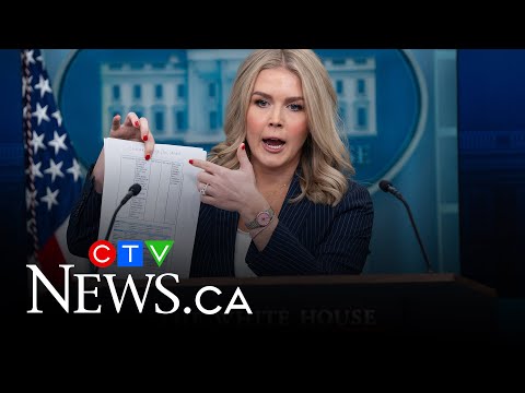 White House confirms Trump has had "very good calls" with Putin over ending war with Ukraine