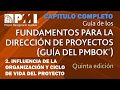 Guía PMBOK | 5ta Edición | CAPITULO 2 | INFLUENCIA DE LA ORGANIZACIÓN Y CICLO DE VIDA | COMPLETO