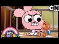 A Revolta | O Incrível Mundo de Gumball | Cartoon Network 🇧🇷