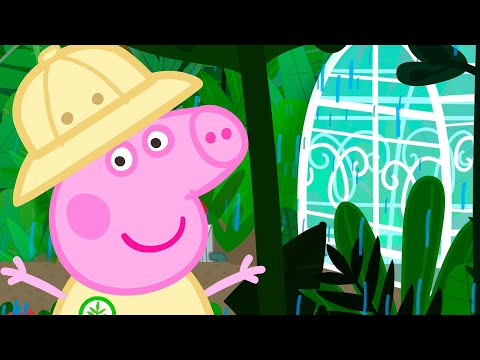 Peppa Pig Explores The Rainforest | Kids Tv And Stories
