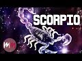 Top 5 Signs You're A TRUE Scorpio