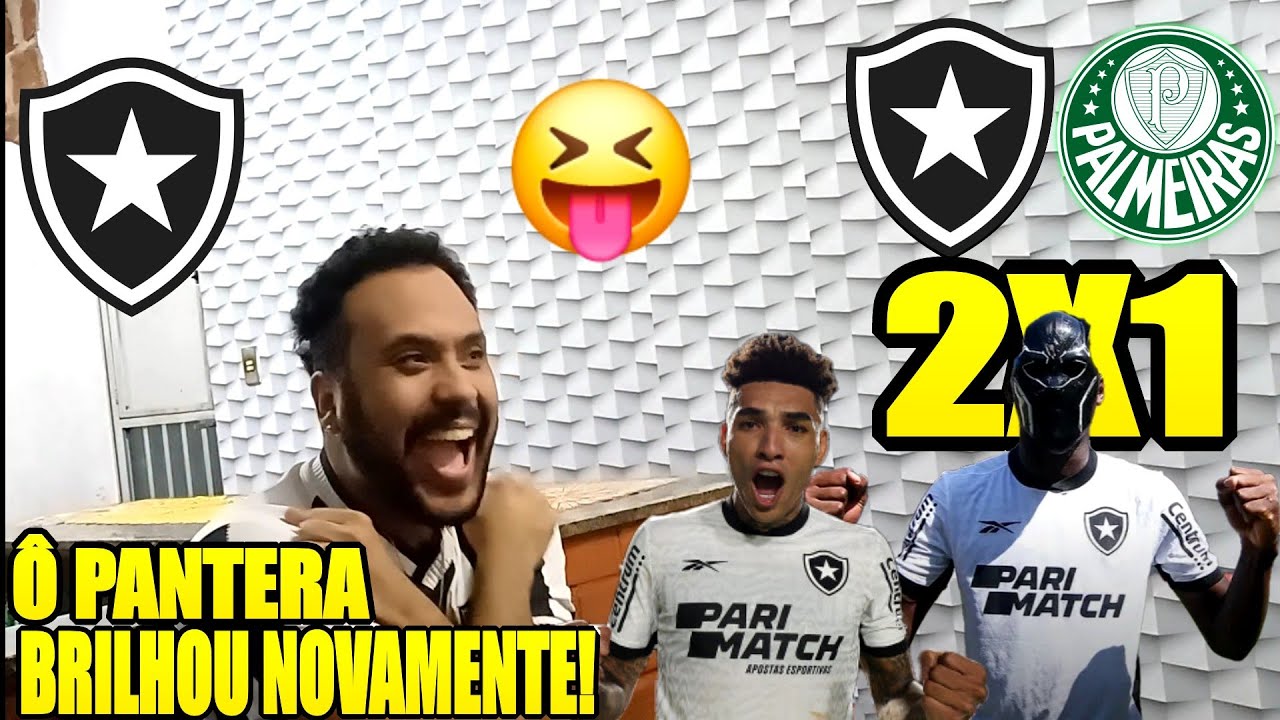 REACT BOTAFOGO 2 X 1 PALMEIRAS MELHORES MOMENTOS LIBERTADORES - YouTube