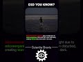 THIS beach GLOWS🏖️ 😱 #shorts #science #technology