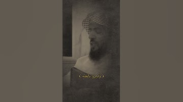 تلاوة من سورة فصلت للقارئ وديع اليمني