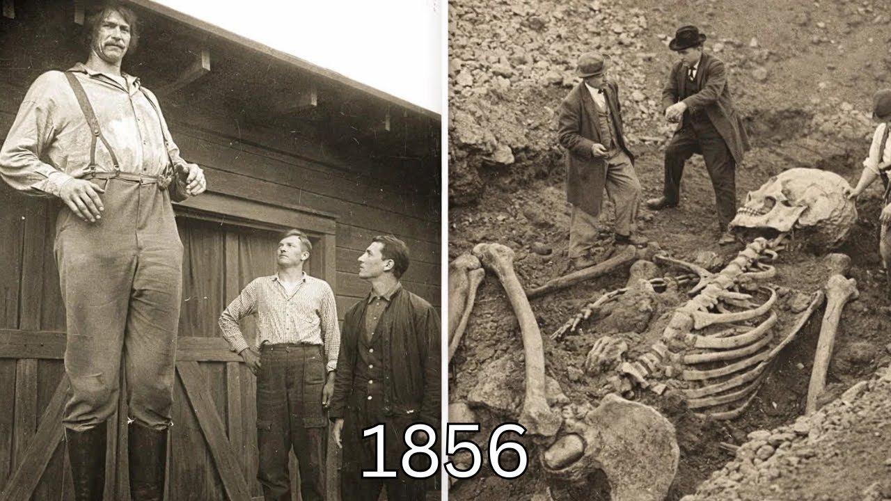 Iowa's Forbidden Giant Finding From 1856