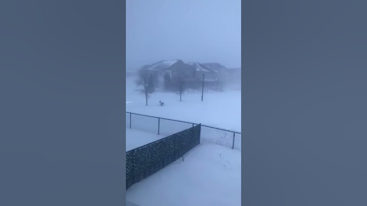 Blizzard! Snow Storm @ Winnipeg Manitoba! 🇨🇦🥶🥶 #weatherupdate #weather #blizzard #canadaweather