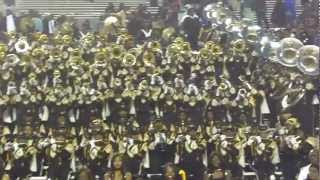 mcc asu "The Stingettes