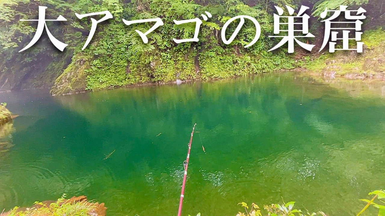 【渓流釣り】新規開拓で見つけた大アマゴの巣窟と価値ある1匹