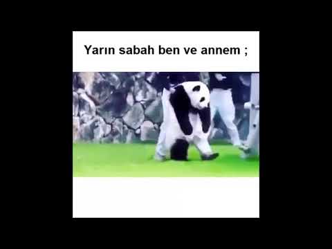 Komik instagram videoları