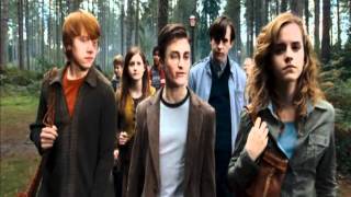 Harry Potter - Shake it out