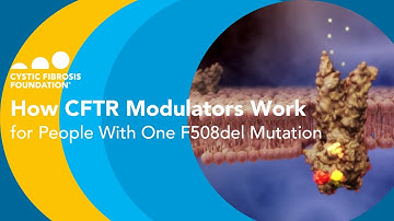 CF Foundation | How CFTR Modulators Work for People With One F508del Mutation