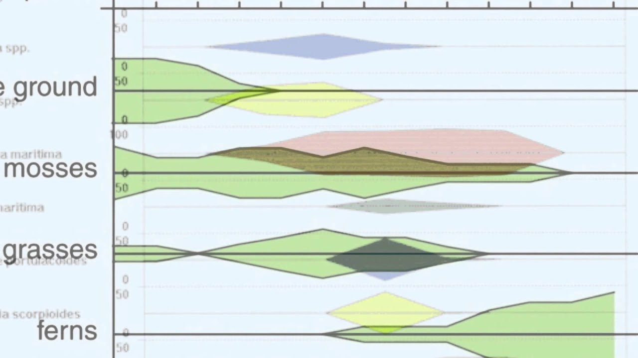 Kite Diagrams