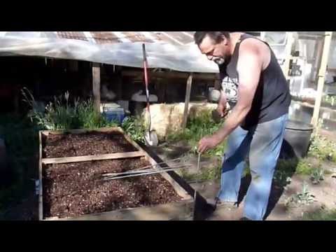 Spring Raised Bed