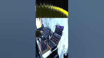 Realtime Semi Modular Synth Jam S1 040625|🎶🔌🎹 |  #synthesizer #electronicmusic #semimodular #dawless
