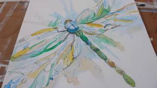 dragonfly watercolor paintings painting watercolors getdrawings paintingvalley