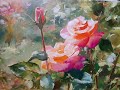Розы - Roses Vugar Mamedov