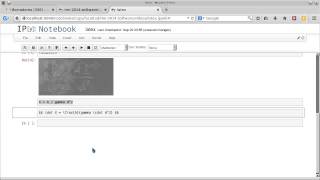 LaTeX dentro del IPython Notebook