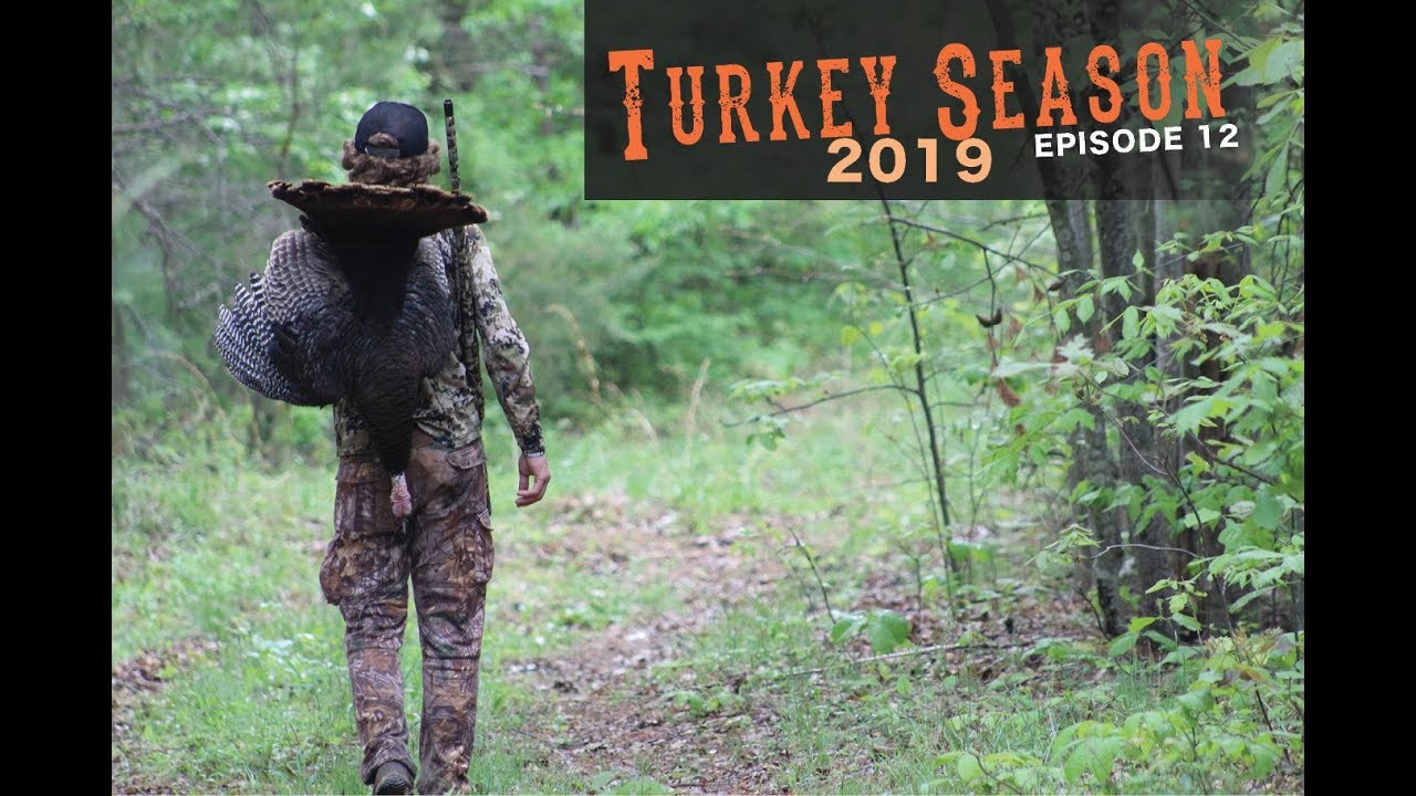 West Virginia Spring Turkey Hunt pt.2! PUBLIC LAND SUCCESS!!!!! YouTube