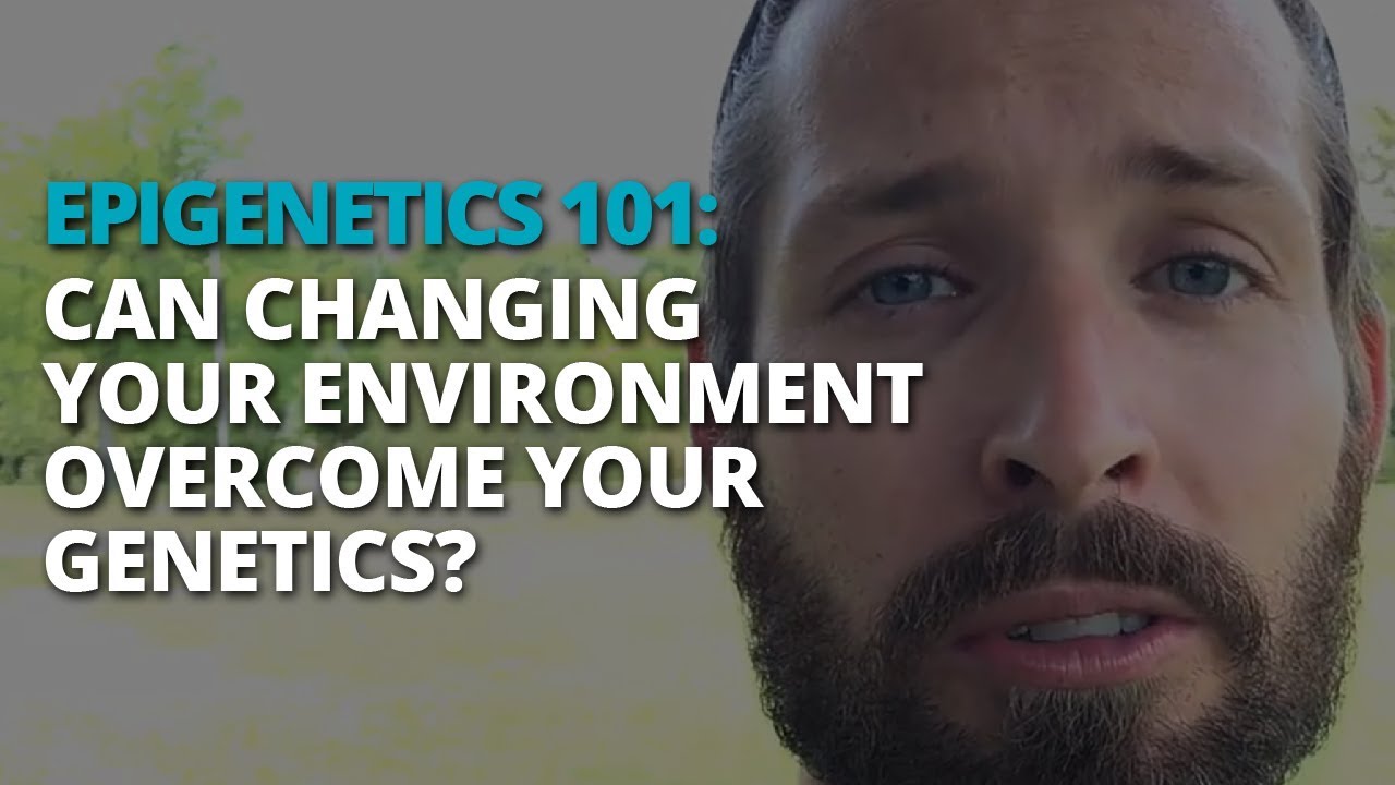 Epigenetics 101: Can Changing Your Environment Overcome Your Genetics ...