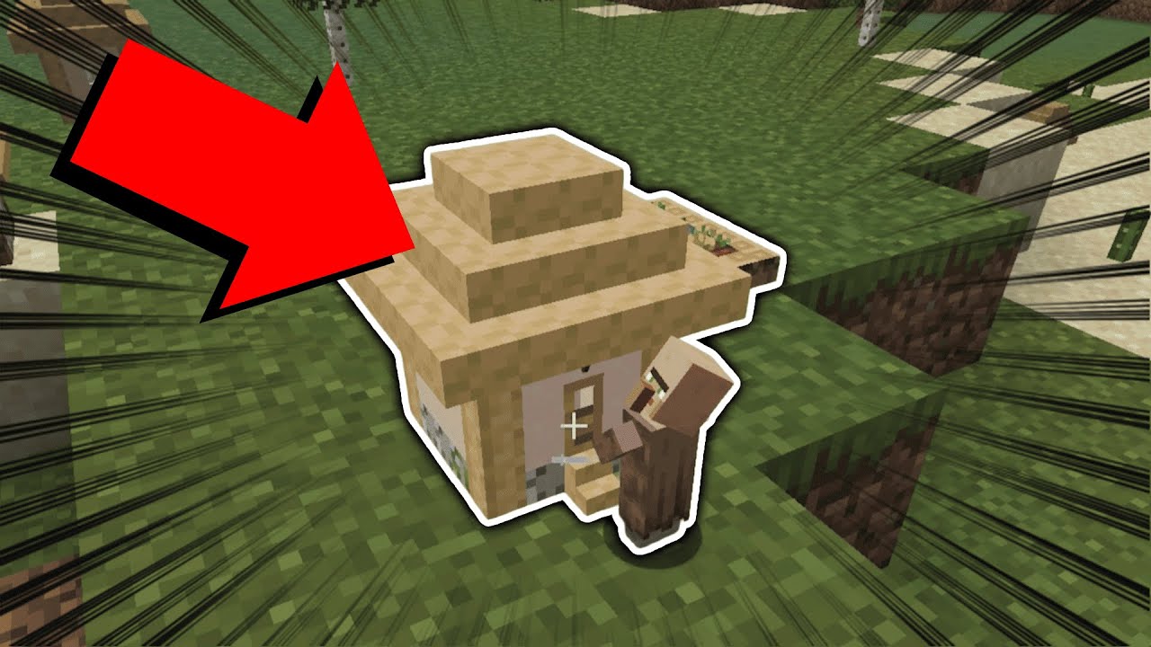 10분의1로 작아진 세상에서 엔더드래곤 잡기