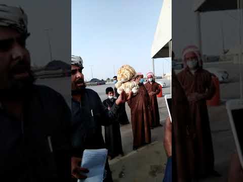 سوق فقع حفرالباطن فقعه تصل سعر 520ريال الدلال حمد 520 ريال ياعبيد1 8 1442 1