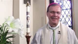 Divine Mercy Celebrations - Join Us!