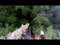 Fir Tree Topping at over 200 ft