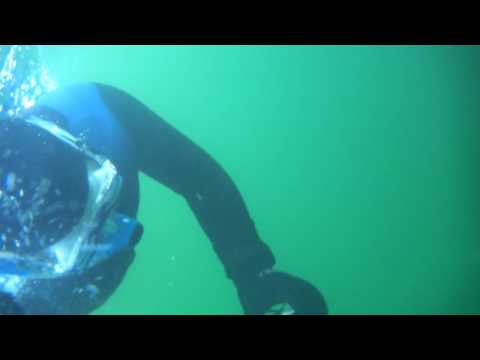 Video: Snorkling Med 50.000 Hvalhvaler I Churchill, Canada [VID] - Matador Network