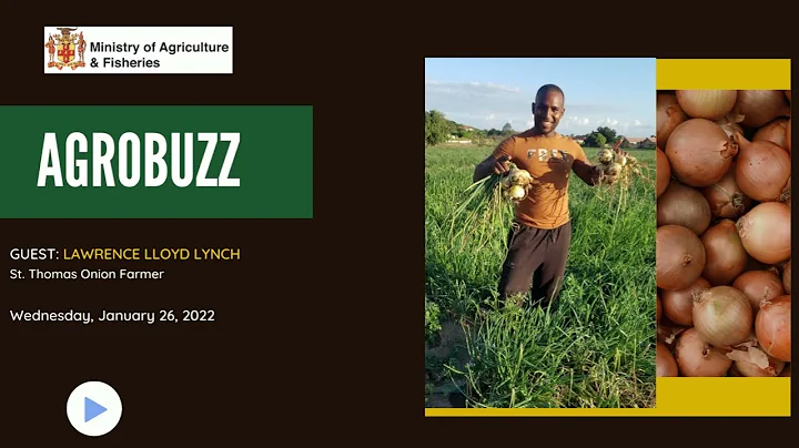 AgroBuzz Feature: Lawrence Lloyd Lynch (Onion Farm...