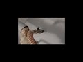 Bad Water Heater Flue Pipe