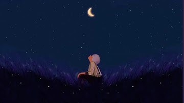 قرآن كريم بصوت عمير شميم ❤️ | حالات واتس اب دينية