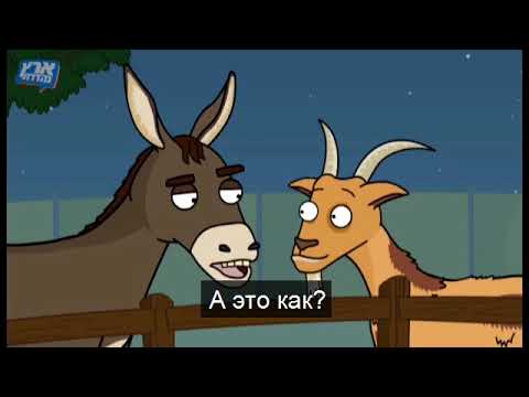 Живой уголок: Панда-парк