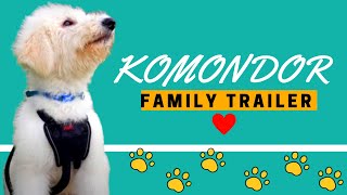 Komondor Family Trailer | Komondor Dog by Komondor Family 499 views 3 years ago 46 seconds