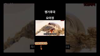 줄서서먹는 요아정