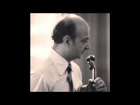 Josef Sivo - Schubert Violin sonata D major D. 384 1mvt