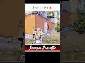 Double Trouble WipeoutЁЯШИ Bgmi Pubgmobile Bgmishorts 1v4clutch Bgmihighlights Pubg Double Trouble WipeoutЁЯШИ Bgmi Pubgmobile Bgmishorts 1v4clutch Bgmihighlights Pubg