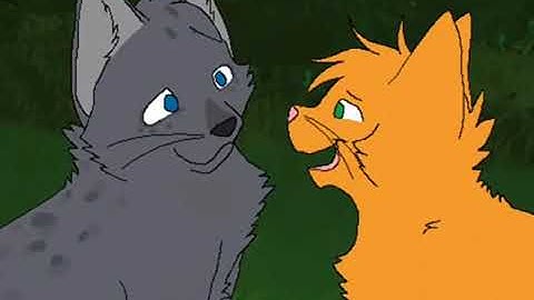 The Other Side Of Paradise Ashfur and Mapleshade Animator Tribute
