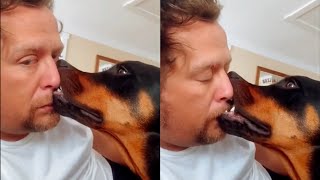 Proof That Dogs Are The Most Clingy Animal