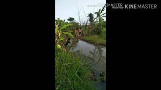 Download Lagu (Cerita hari ini) Nikmati masa masa muda mu MP3