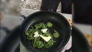EatWild Fiddleheads - How to pick and cook fiddleheads with Chef Whittaker EatWild Fiddleheads - How to pick and cook fiddleheads with Chef Whittaker