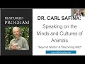 Dr carl safina becoming wild and beyond words